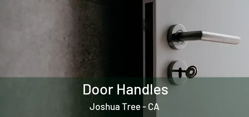  Door Handles Joshua Tree - CA