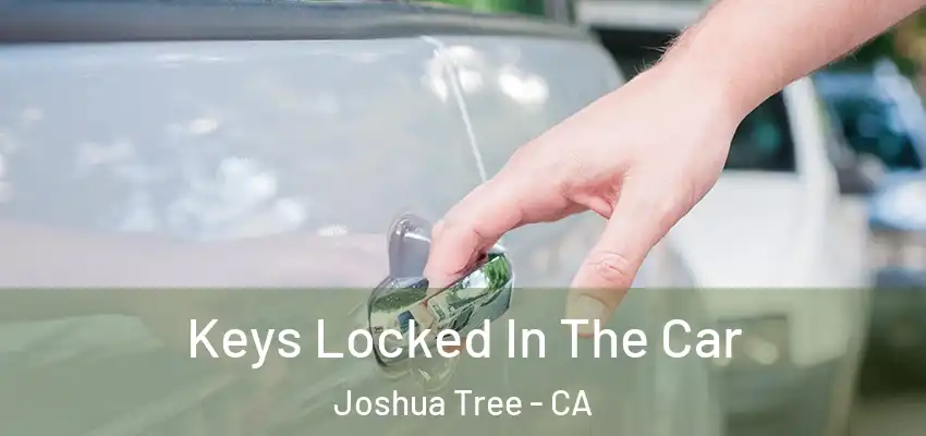  Keys Locked In The Car Joshua Tree - CA